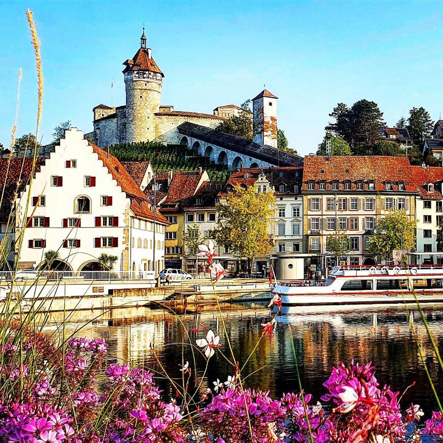 Suedwind - Beautiful Premium With 2 Bedrooms Near Rhine Falls & Zurich Airport In Klettgau *