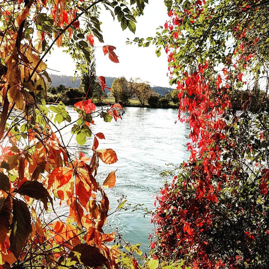 Apartment Suedwind - Beautiful Premium With 2 Bedrooms Near Rhine Falls & Zurich Airport In Klettgau *